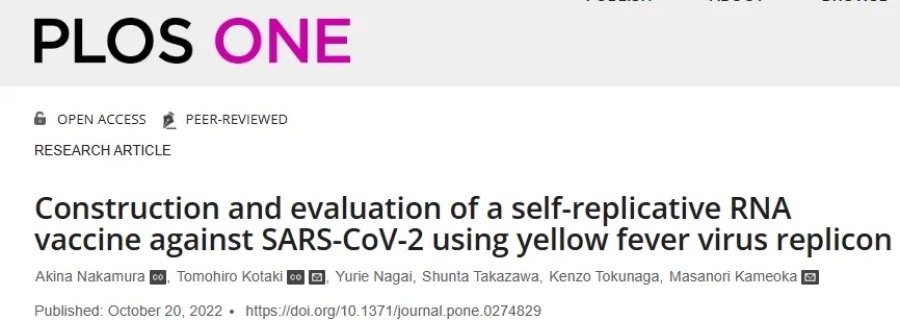 【NEPA21】利用黄热病病毒复制子构建SARS-CoV-2 repRNA疫苗及其检测